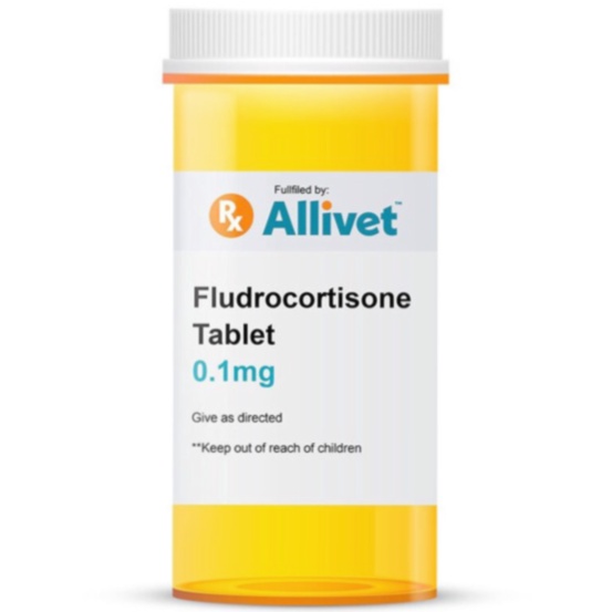 fludrocortisone