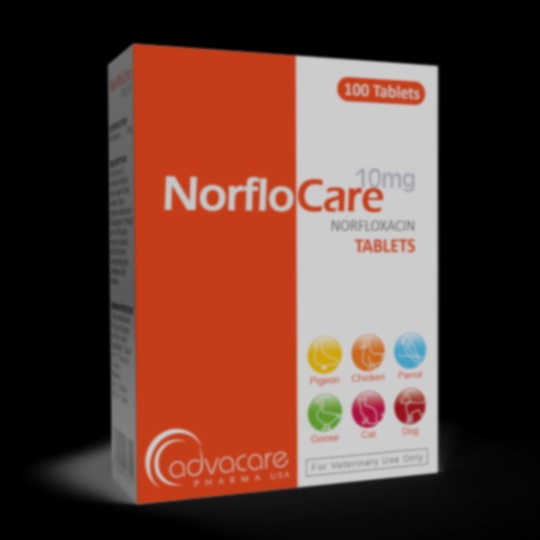 norfloxacin